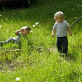 P5280290