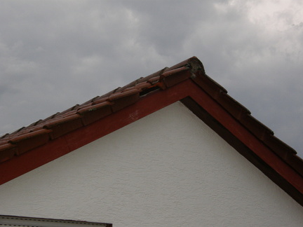 P7280501