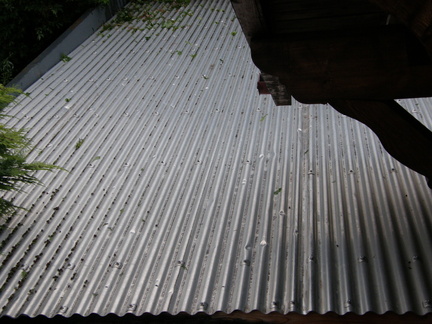 P7280502