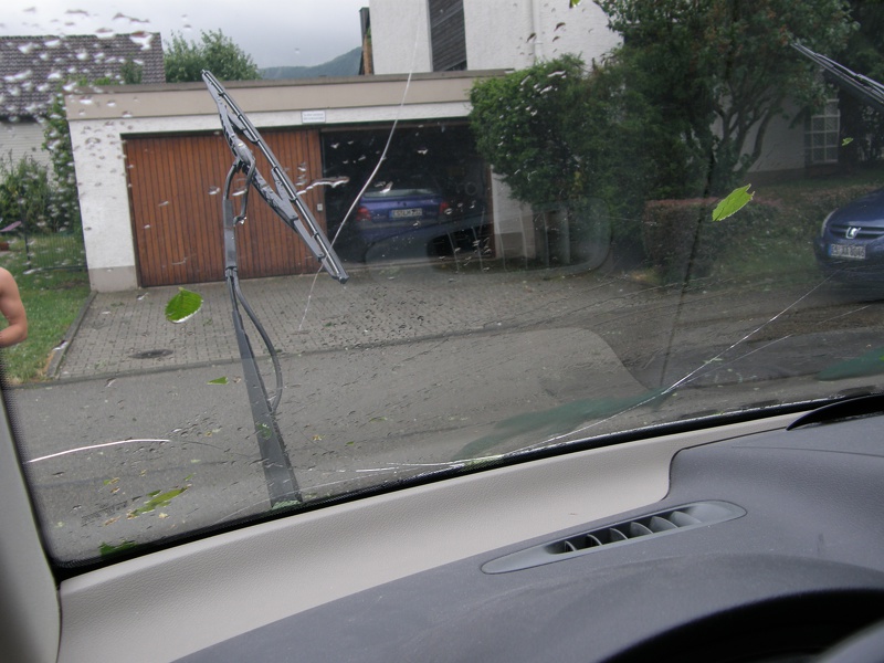 P7280486.jpg