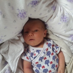 Lydia-Sofie